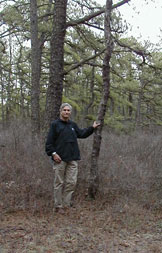 Dave in Lebanon State Forest, NJ